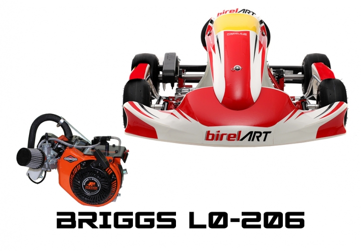 2022 C28-S14 MINI with Briggs LO-206