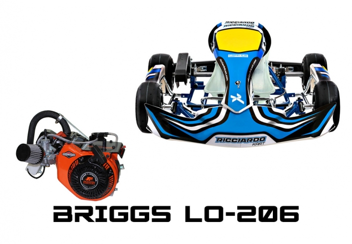 2021 DR-C28 S12 WITH BRIGGS LO-206