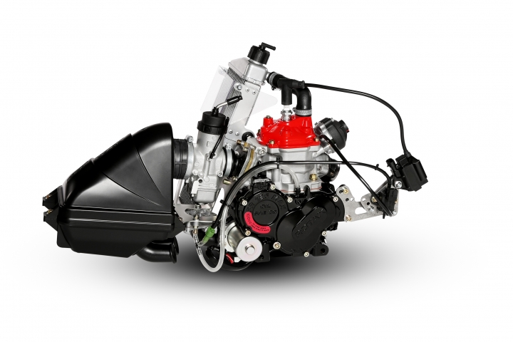 Rotax engines and parts